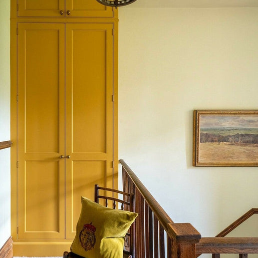 Tinta Farrow&Ball India Yellow No. 66 - Stoc Casa