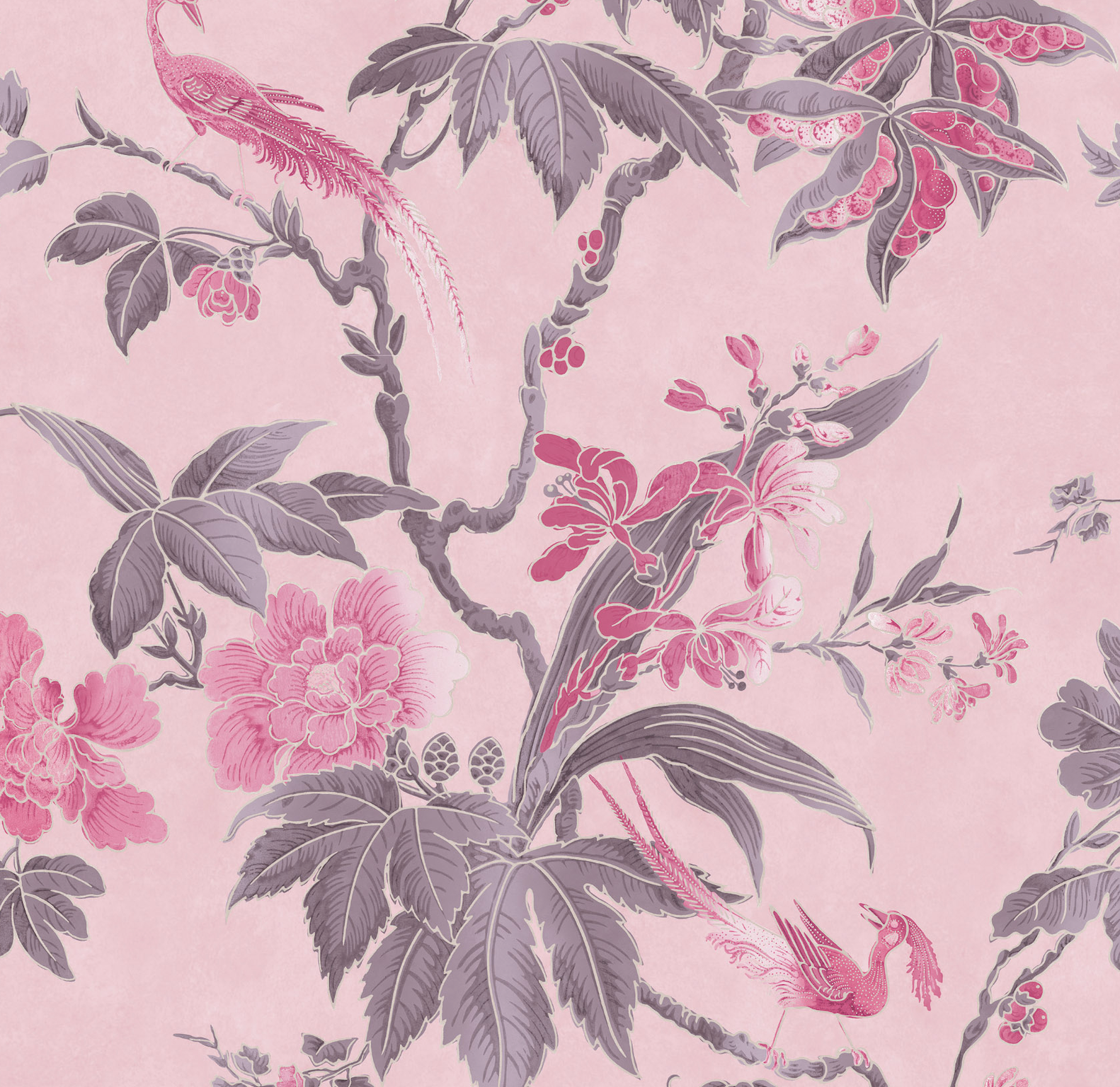 Papel de Parede Little Greene Paradise - Pink