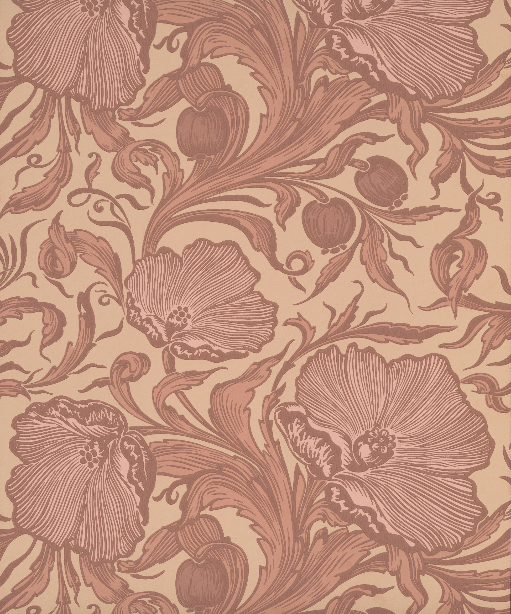 Papel de Parede Little Greene Poppy Trail - Masquerade