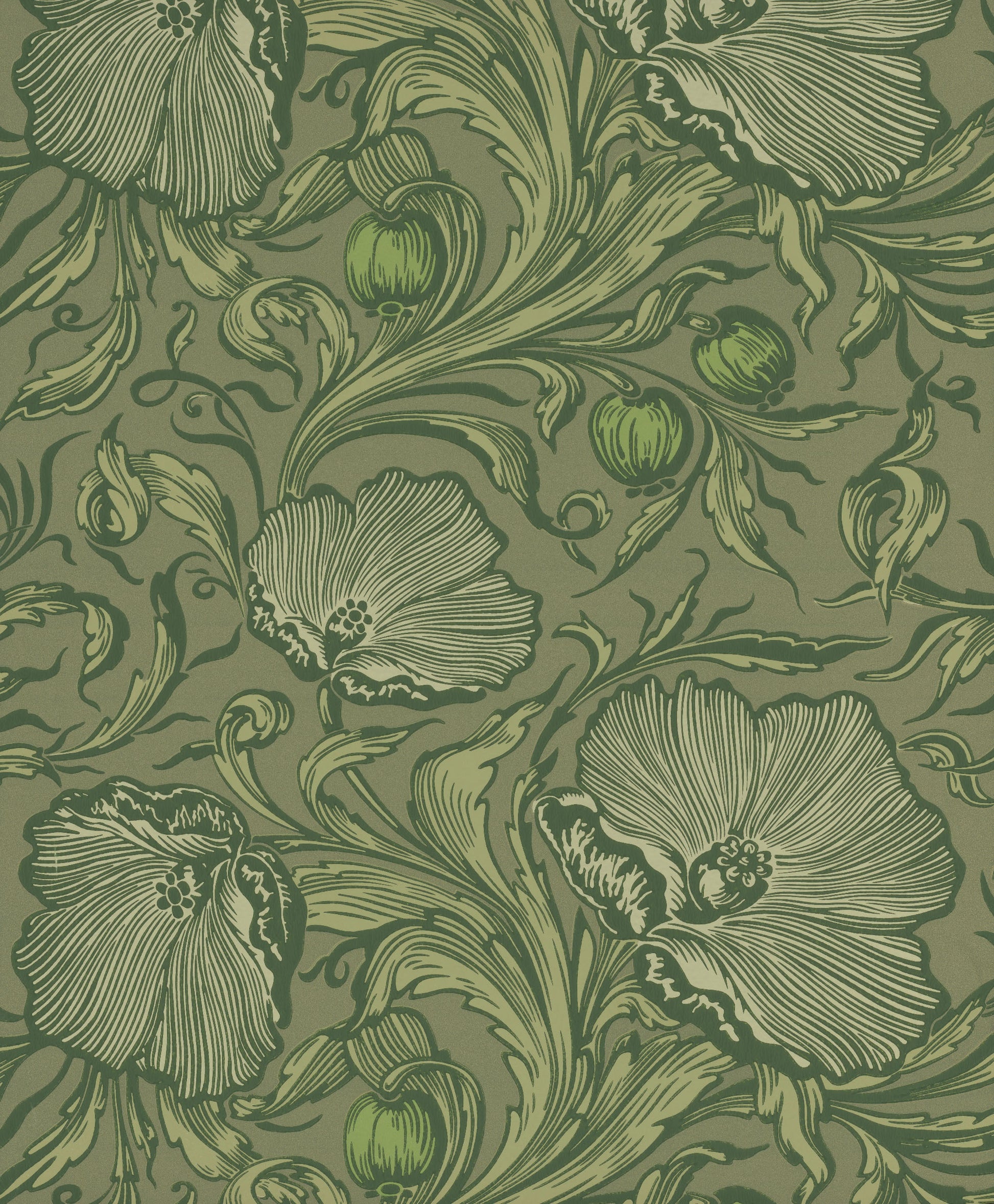 Papel de Parede Little Greene Poppy Trail - Sage Green