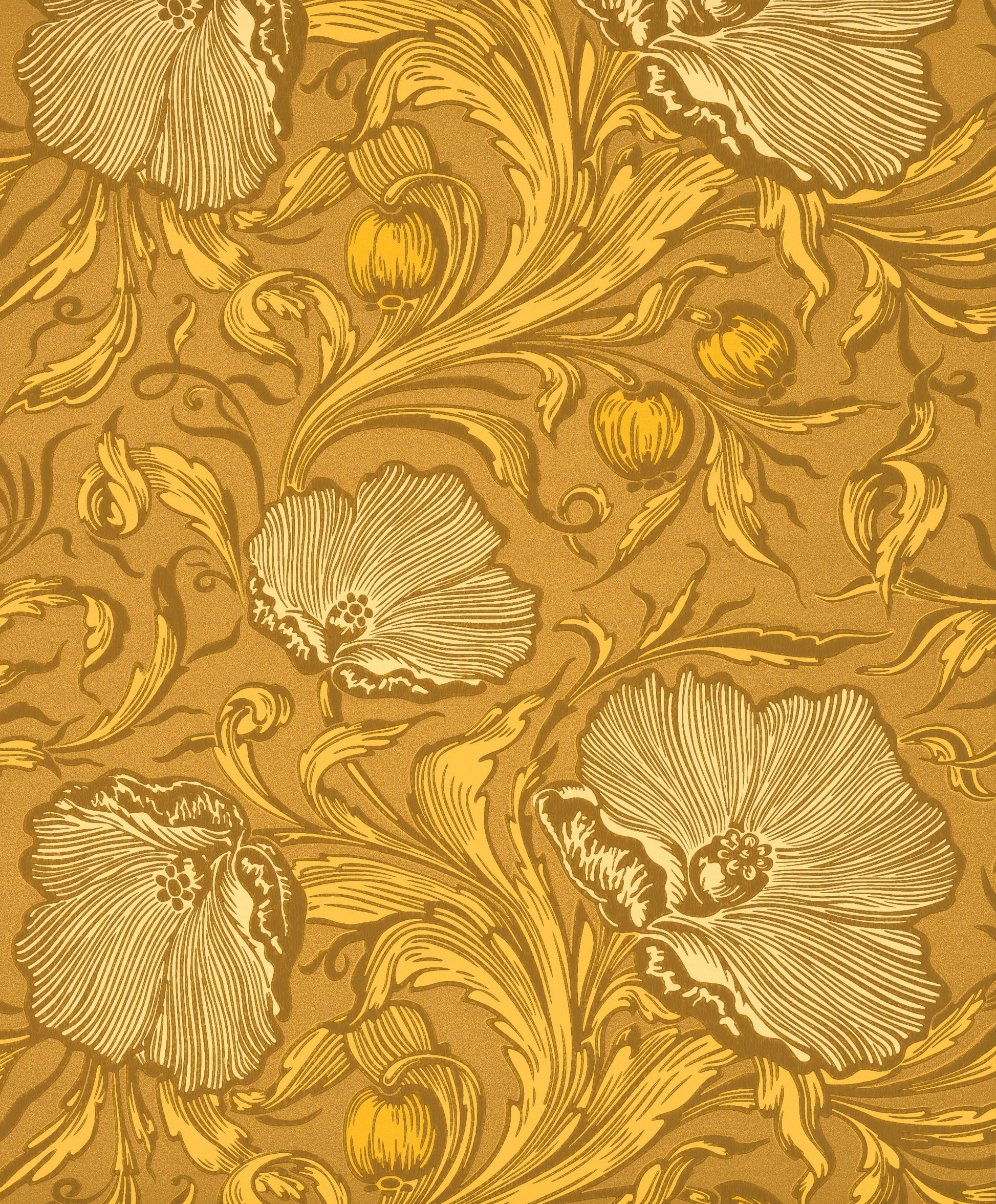 Papel de Parede Little Greene Poppy Trail - Yellow Pink