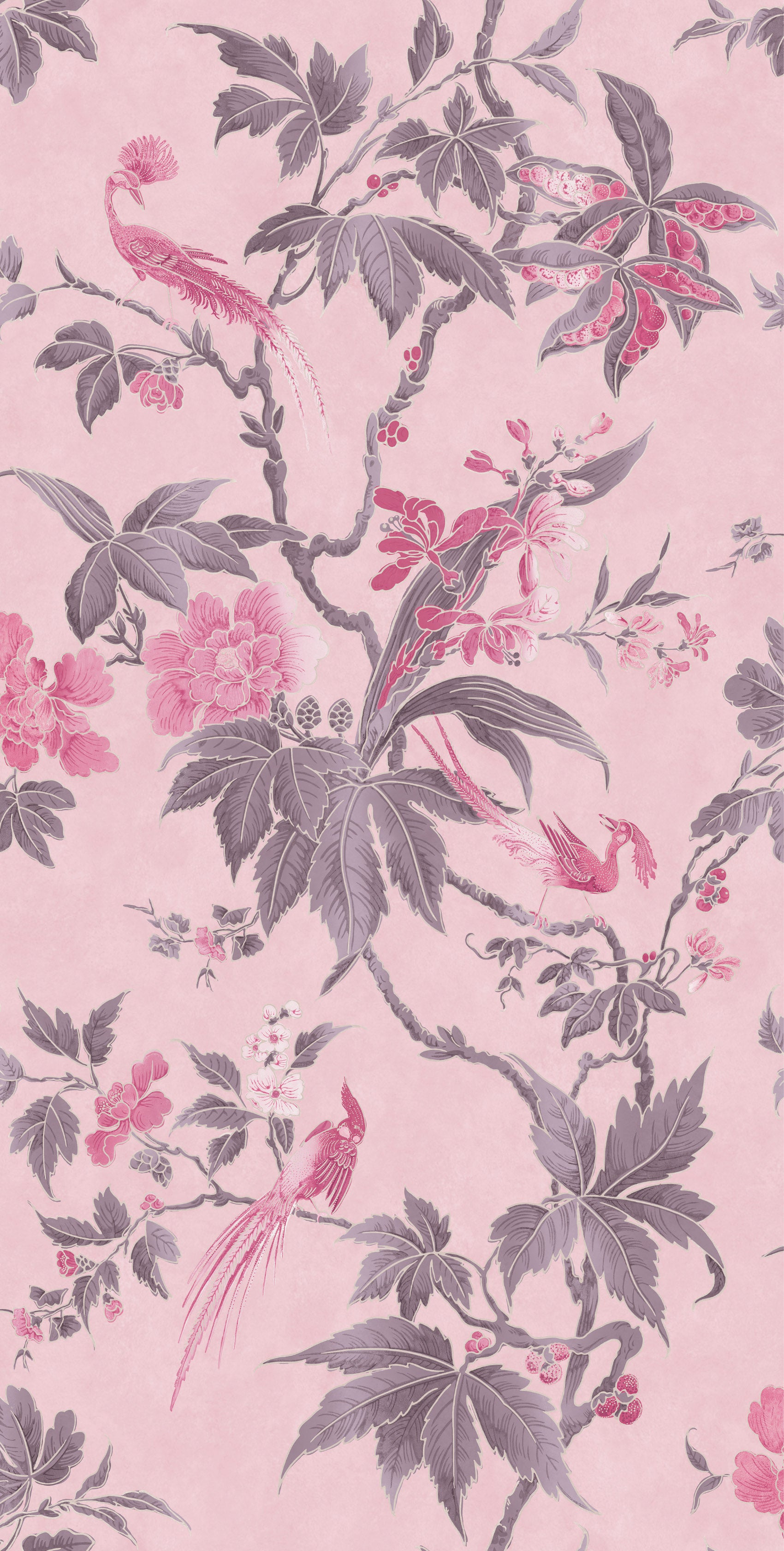 Papel de Parede Little Greene Paradise - Pink