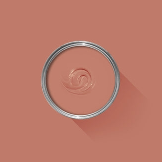 Farrow&amp;Ball Red Earth Paint No. 64